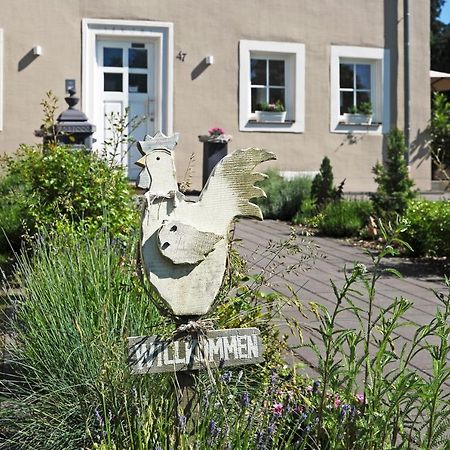 Ferienhaus Eifel 1851 Gipperath Eksteriør bilde